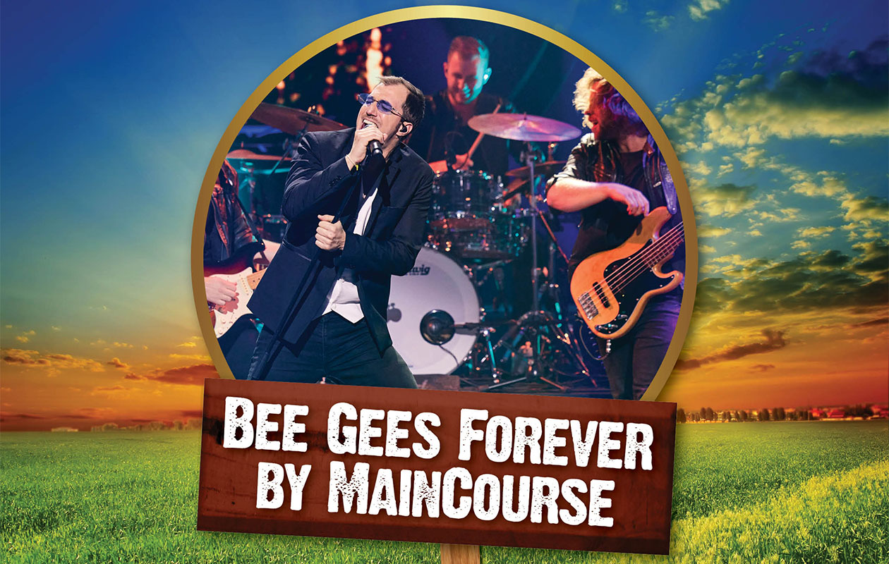 Ticket Tribute Night bij Hemmeland Live op 30 mei 2025 (2p.)