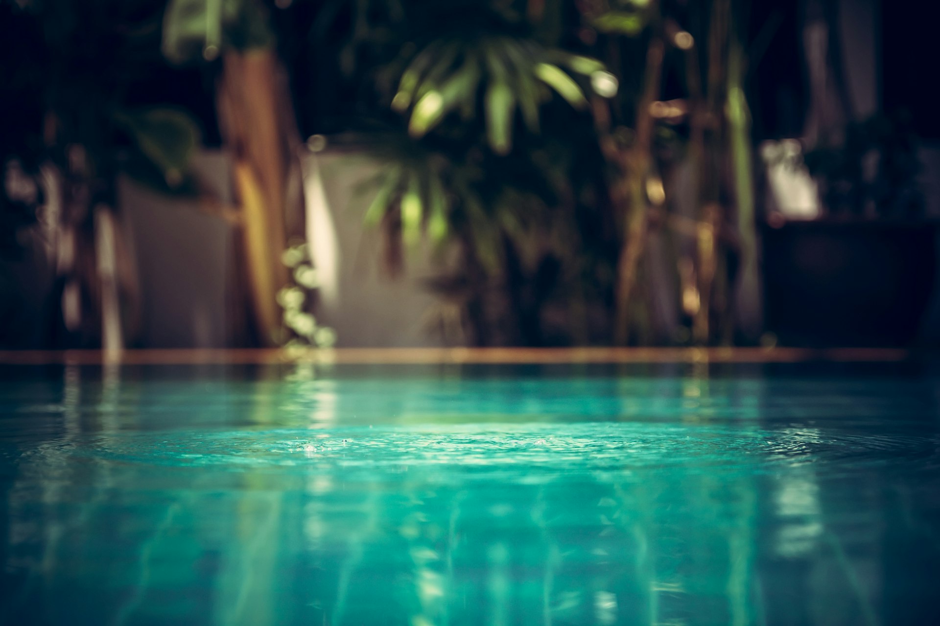 Ayana Wellness : votre escapade luxueuse et privée à Kapellen