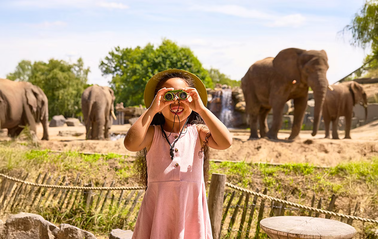 Ontdek Safaripark Beekse Bergen