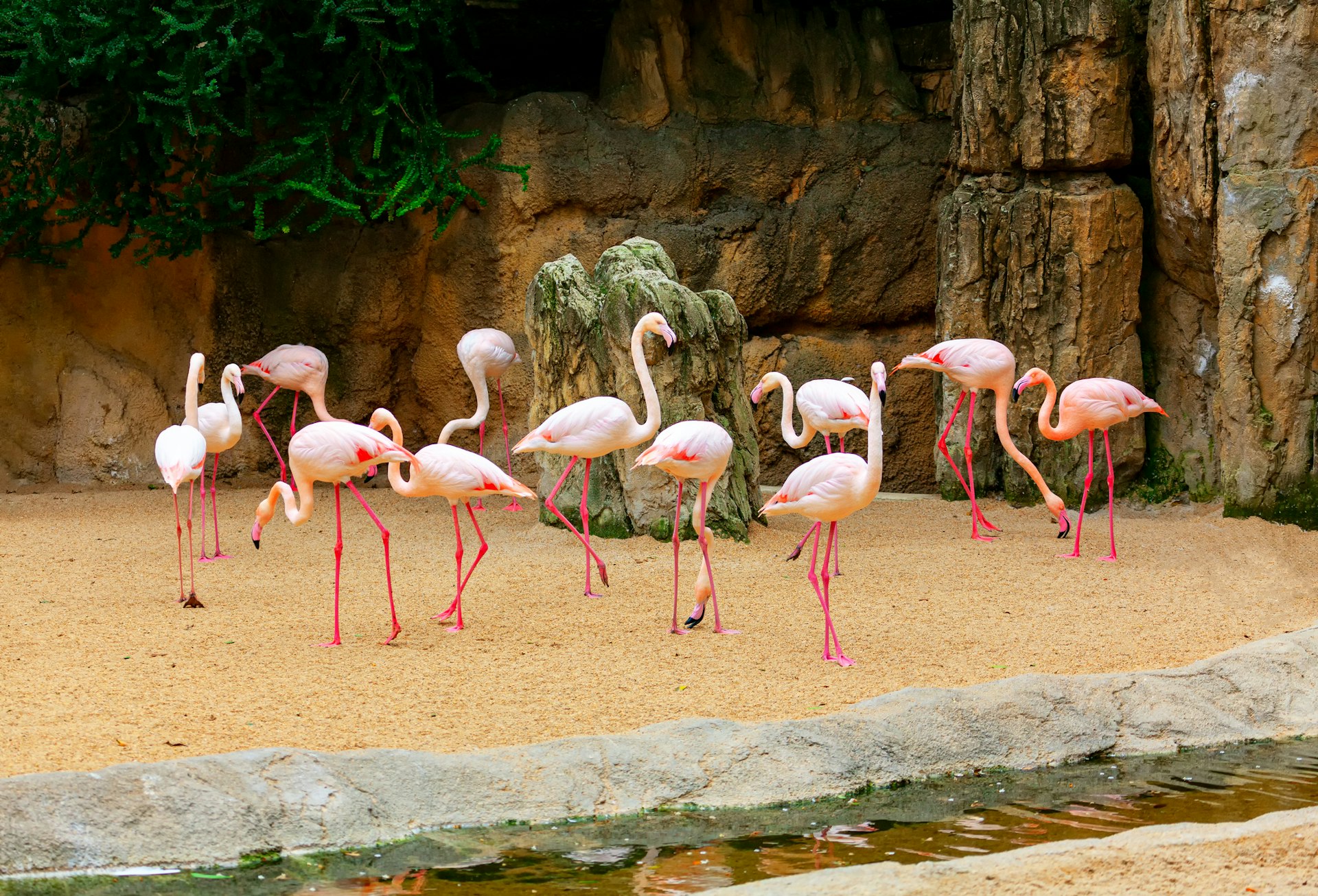Bezoek de Gaia Zoo Kerkrade