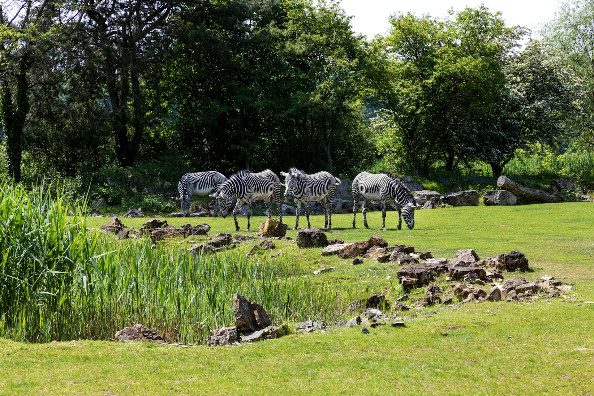 Dagje uit in ZOO Planckendael: Dierentuin, educatie & plezier