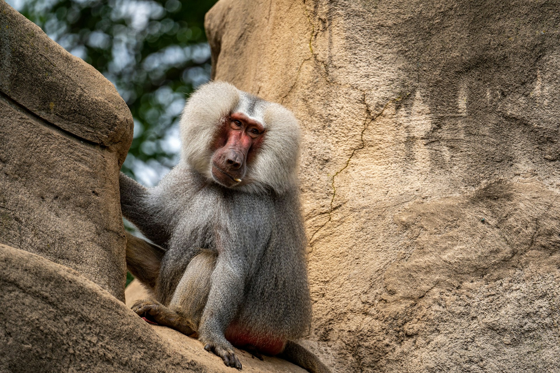 Dagje uit naar Kölner Zoo