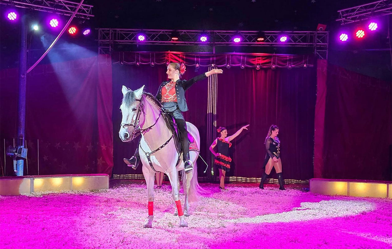 Parketticket voor Circus Renz Berlin. in Katwijk (2p.)