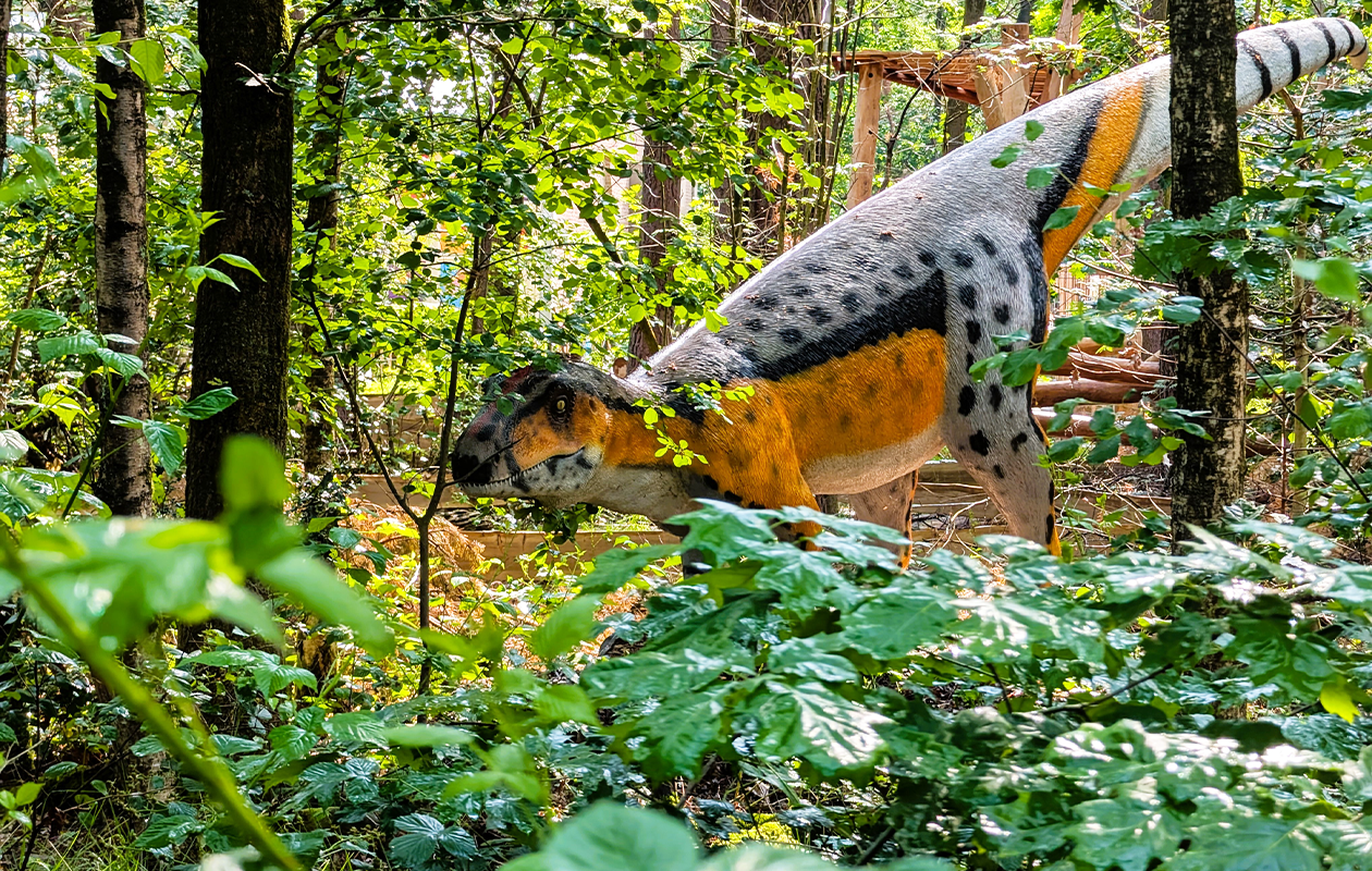 Combiticket Spelebos: museum, dino & golfplezier (2p.)