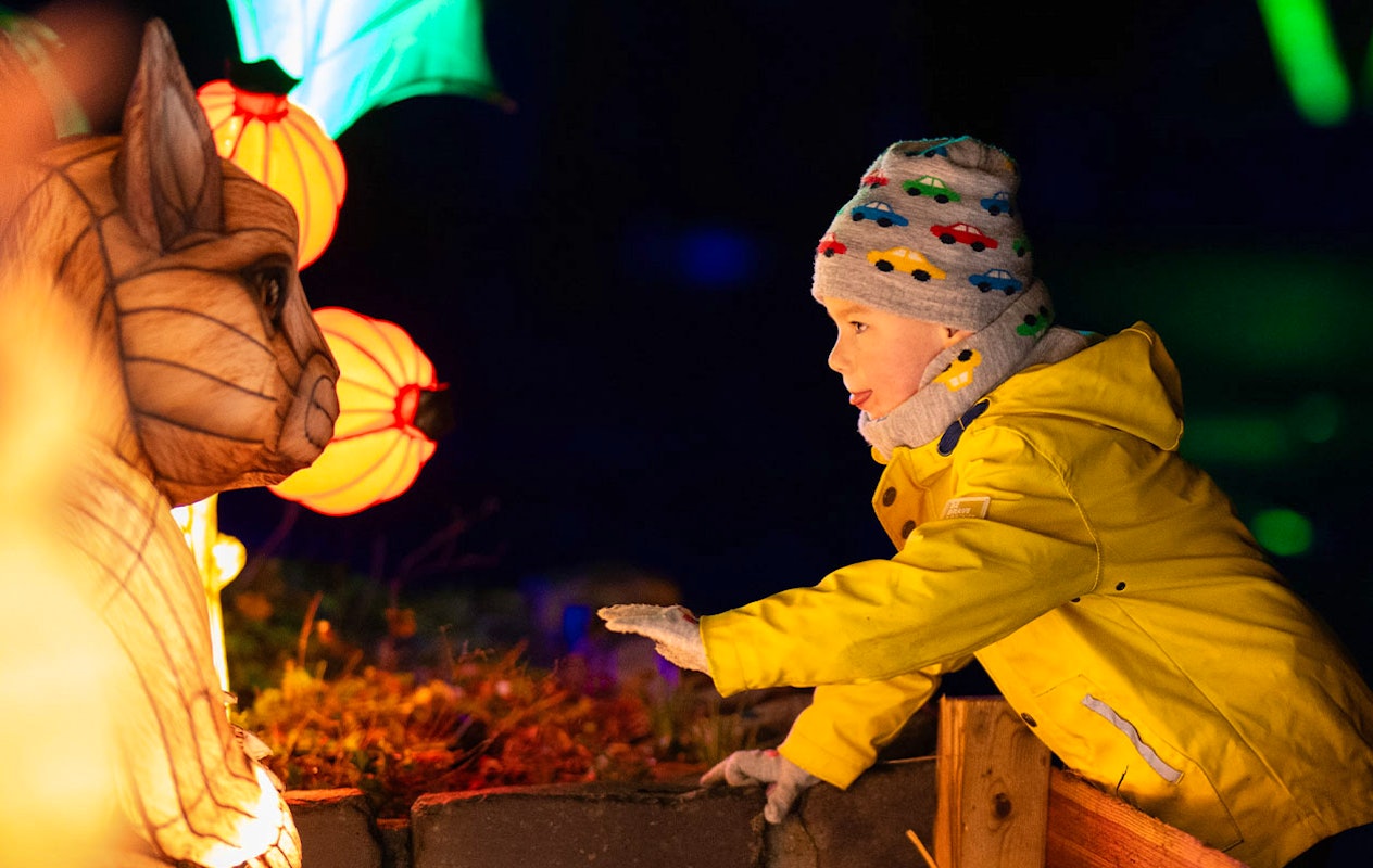 Billet Wunderlight au Wunderland Kalkar (2p.)