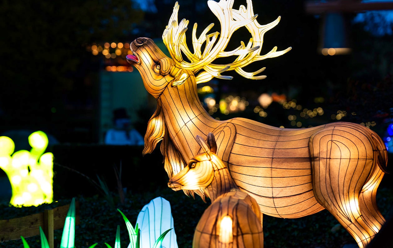 Billet Wunderlight au Wunderland Kalkar (2p.)