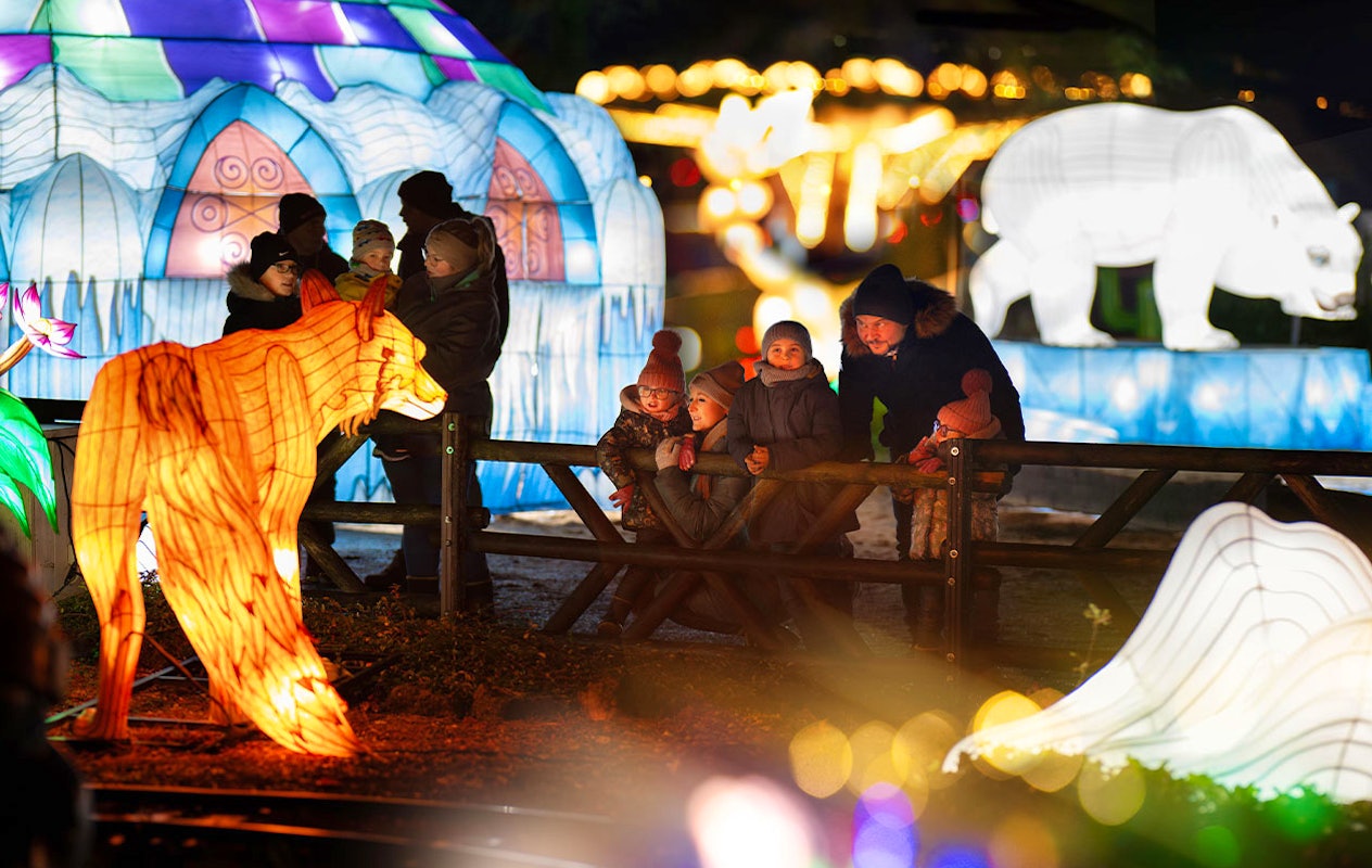 Billet Wunderlight au Wunderland Kalkar (2p.)