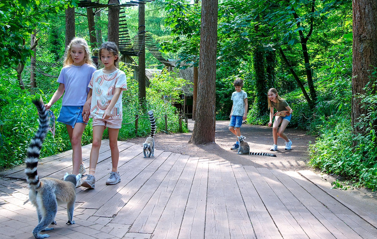 Ticket Apenheul (2p.)