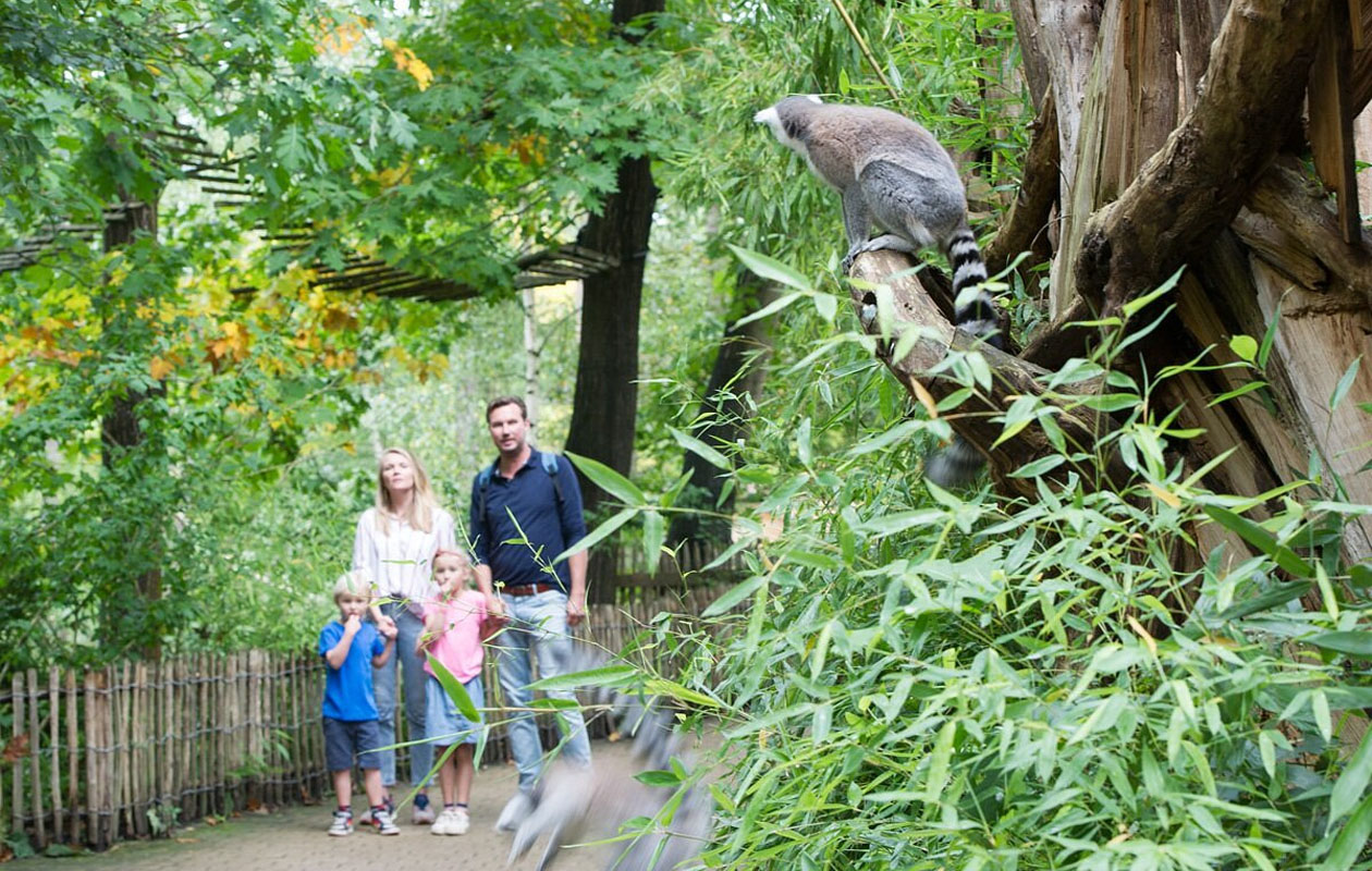 Ticket Apenheul (2p.)