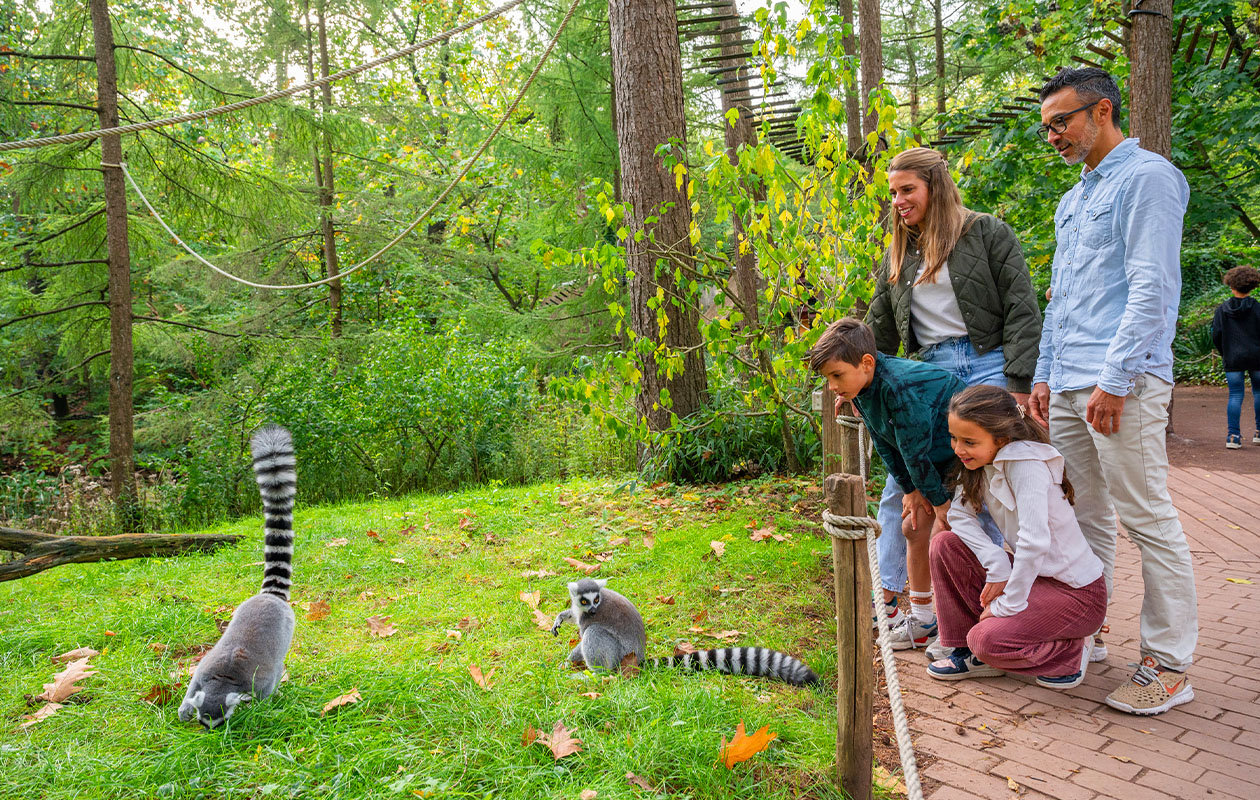 Ticket Apenheul (2p.)