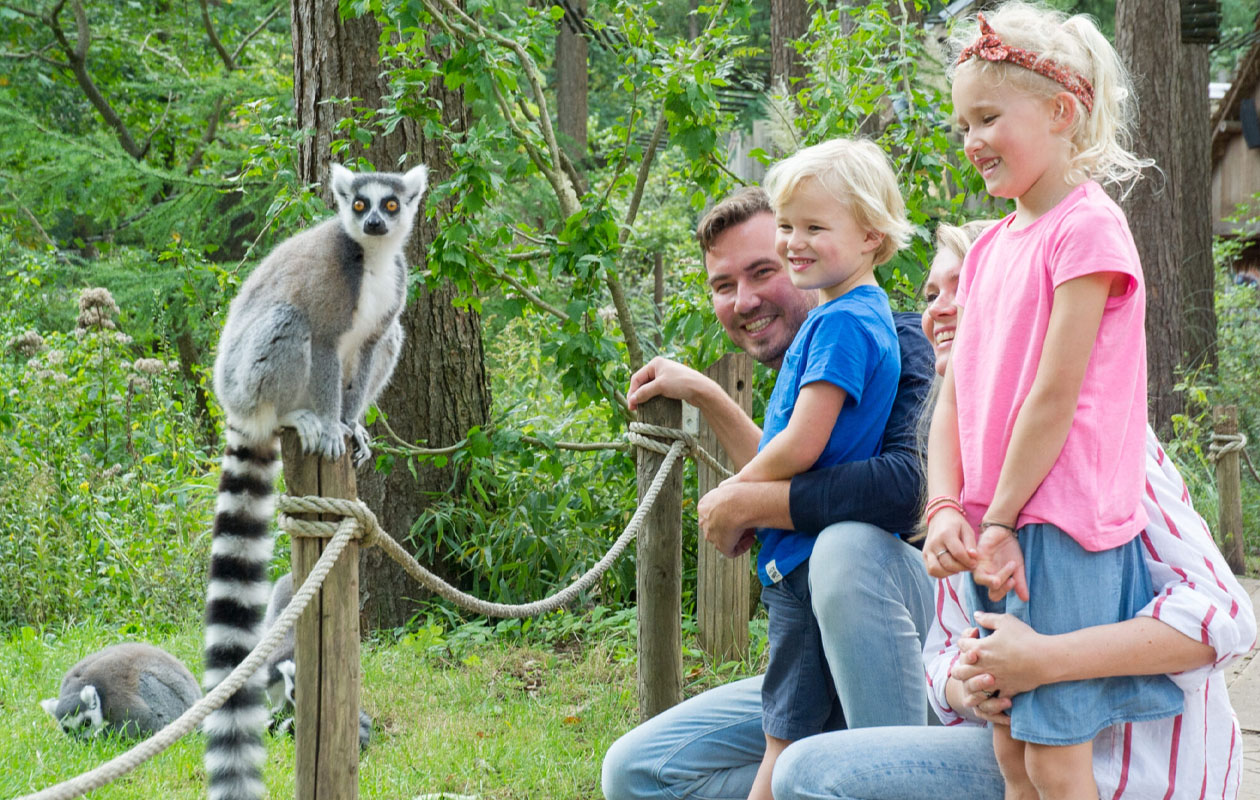 Ticket Apenheul (2p.)