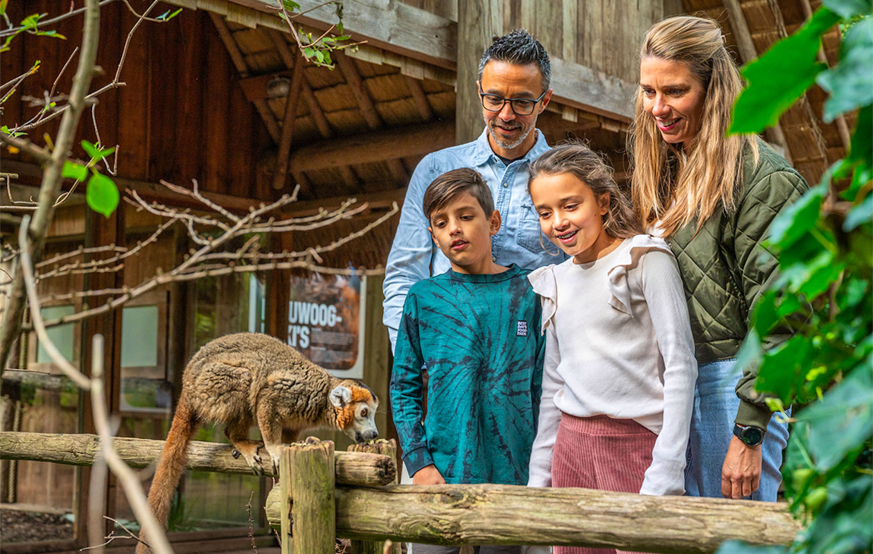 Ticket Apenheul (2p.)