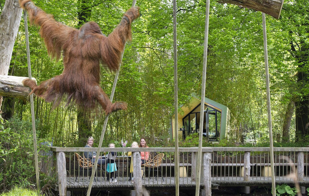 Ticket Apenheul (2p.)