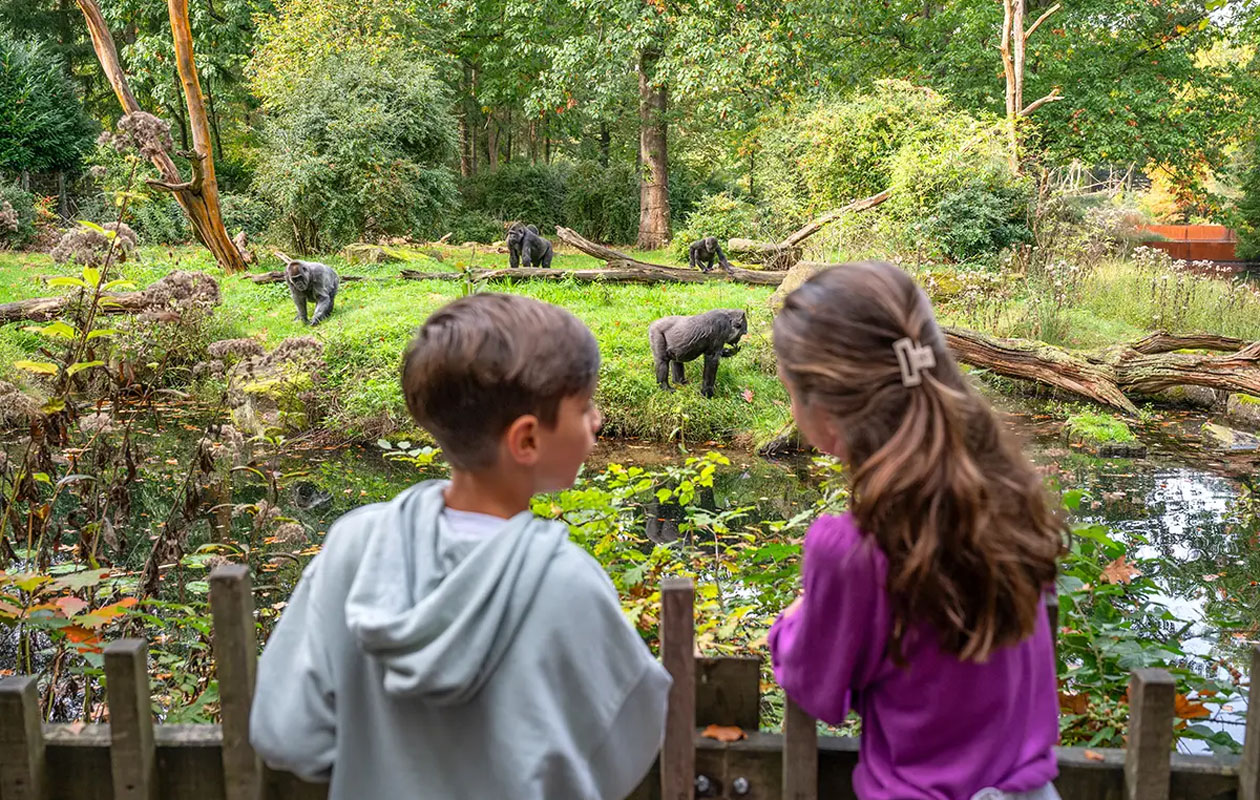 Ticket Apenheul (2p.)