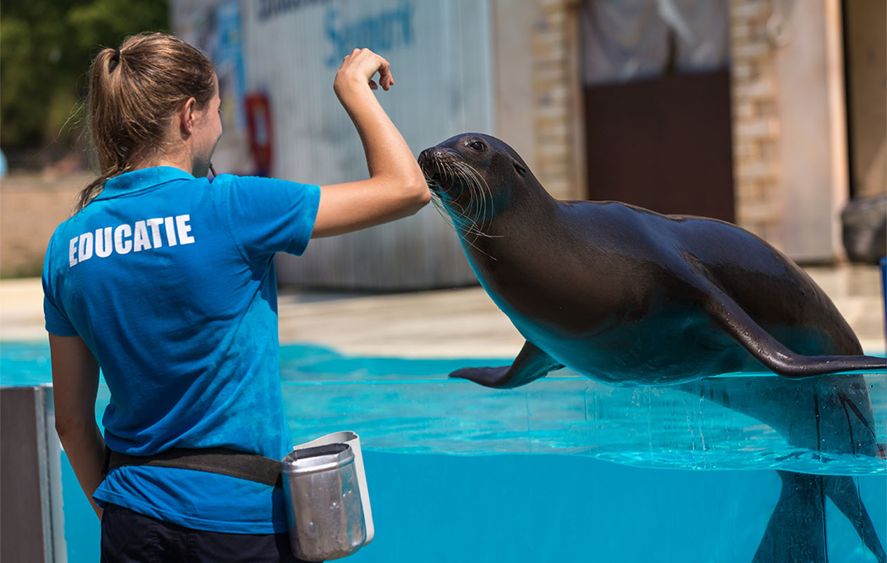 Ticket Boudewijn Seapark (2p.)