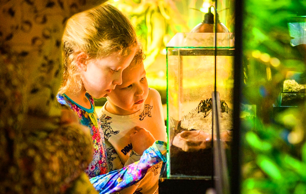 Ticket De Oliemeulen (2p.)