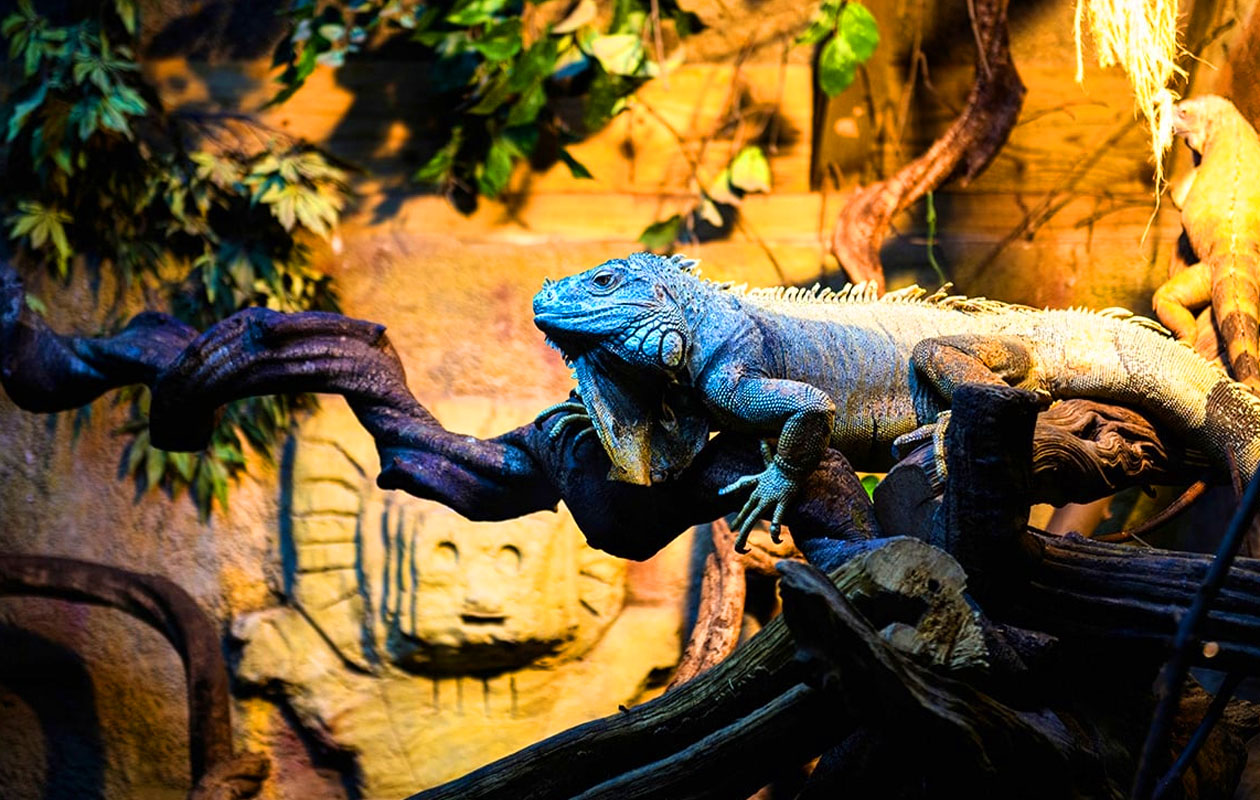 Ticket De Oliemeulen (2p.)