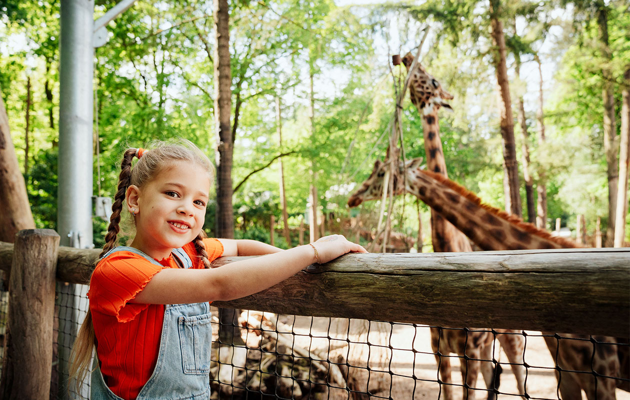 Ticket Dierenpark Amersfoort (2p.)