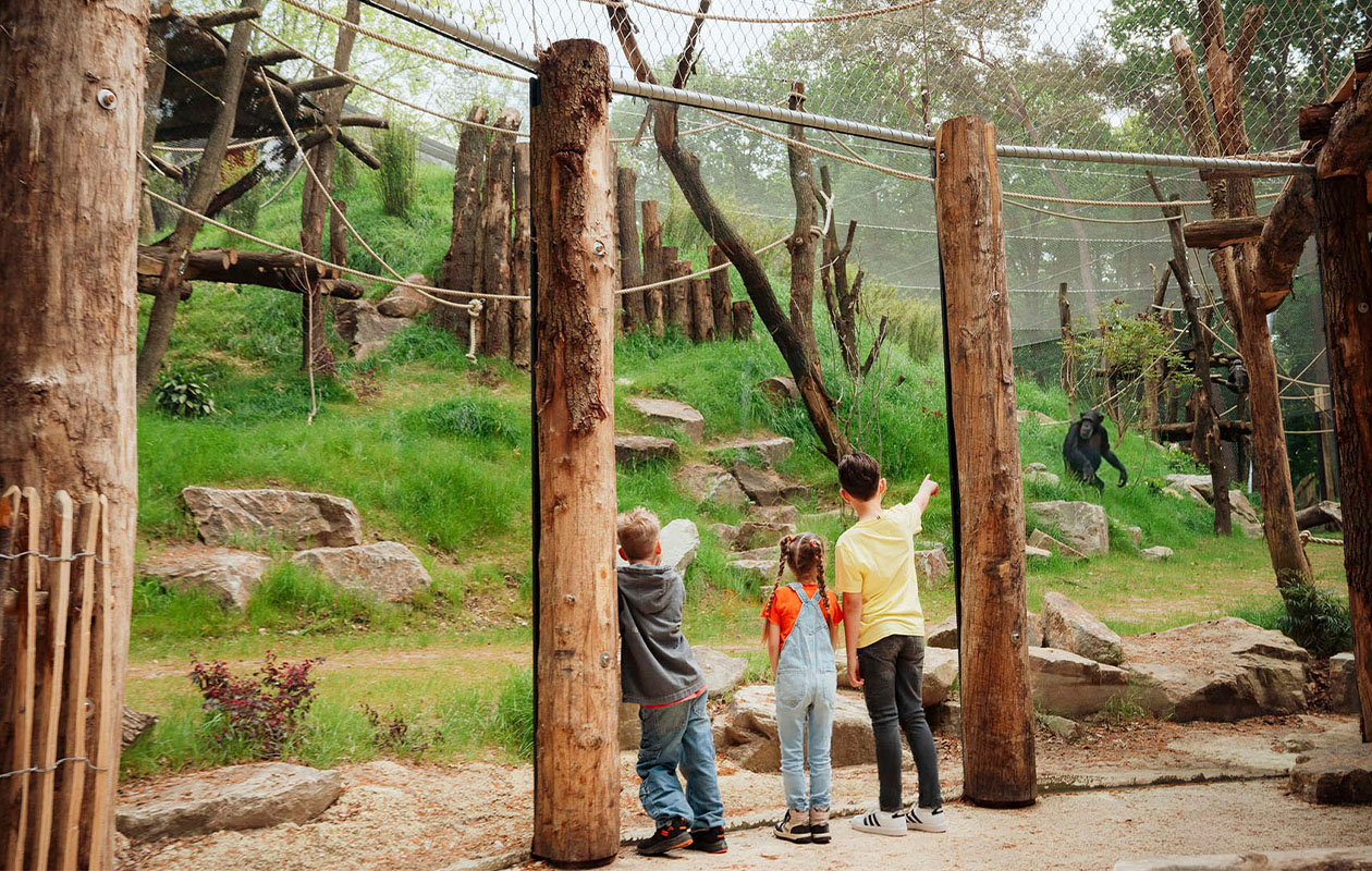 Ticket Dierenpark Amersfoort (2p.)