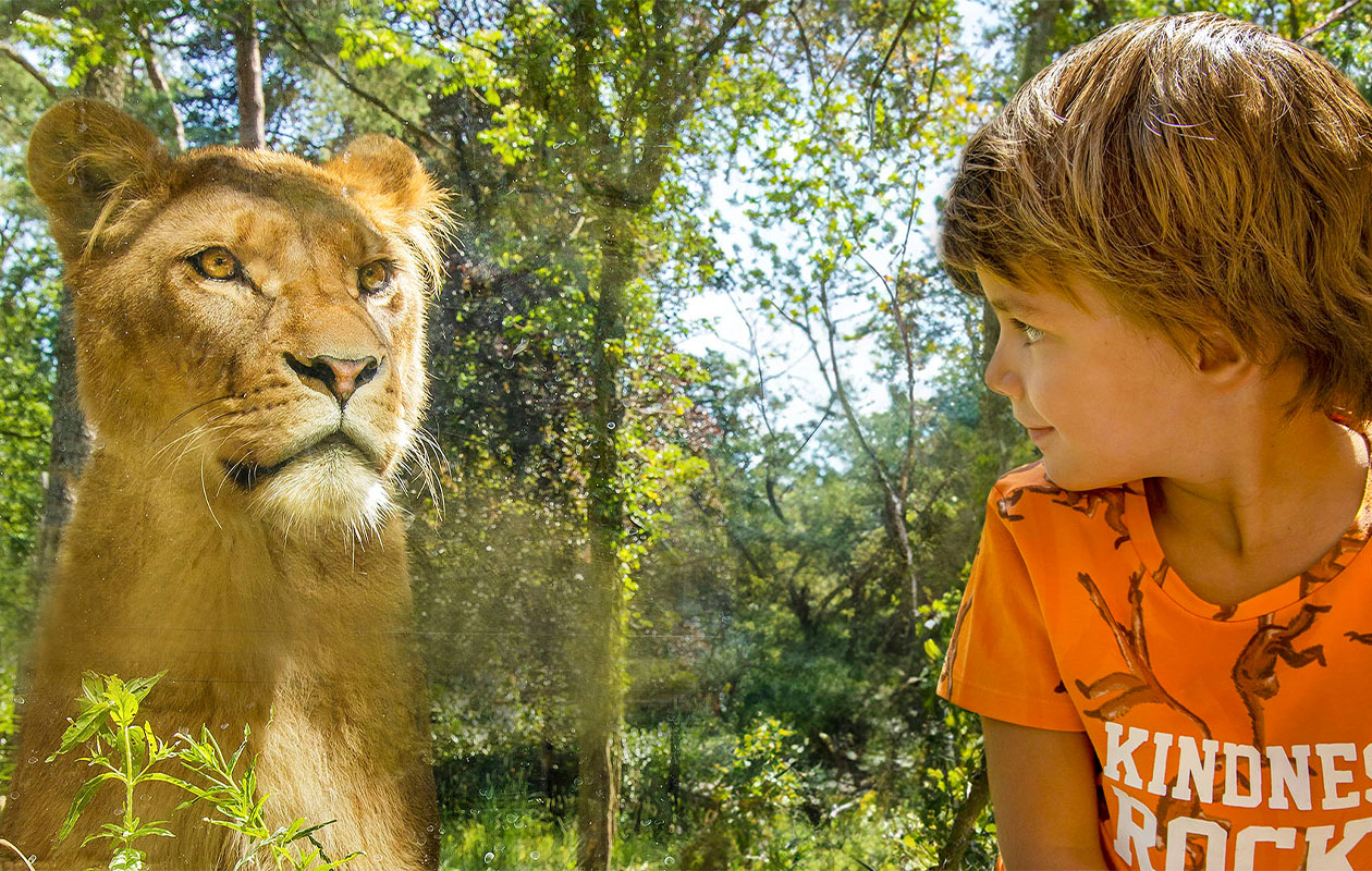 Ticket Dierenpark Amersfoort (2p.)