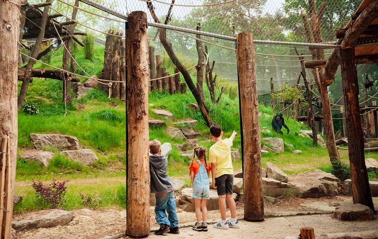 Billet Zoo d'Amersfoort (2p.)