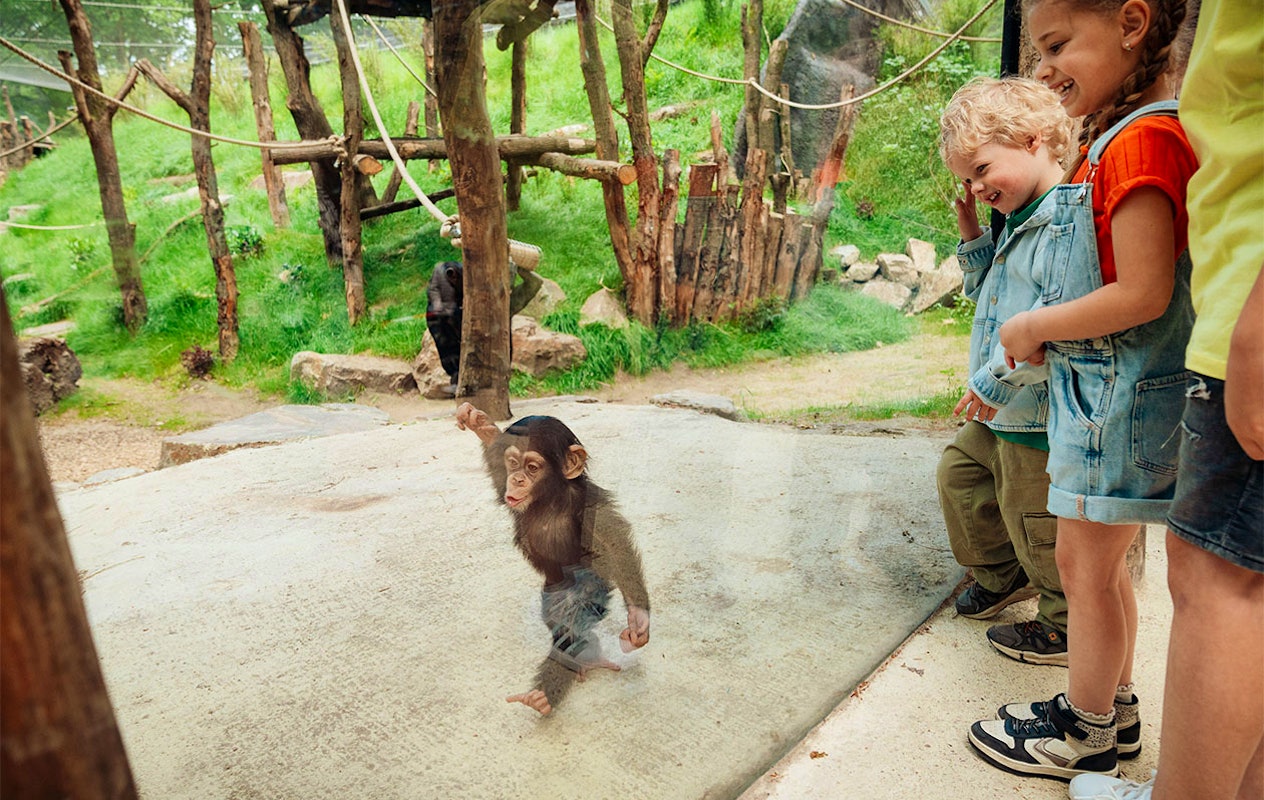 Billet Zoo d'Amersfoort (2p.)