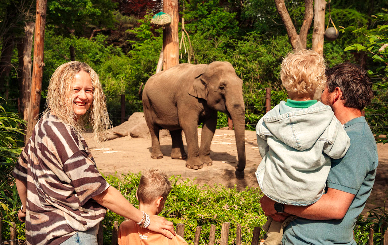 Billet Zoo d'Amersfoort (2p.)