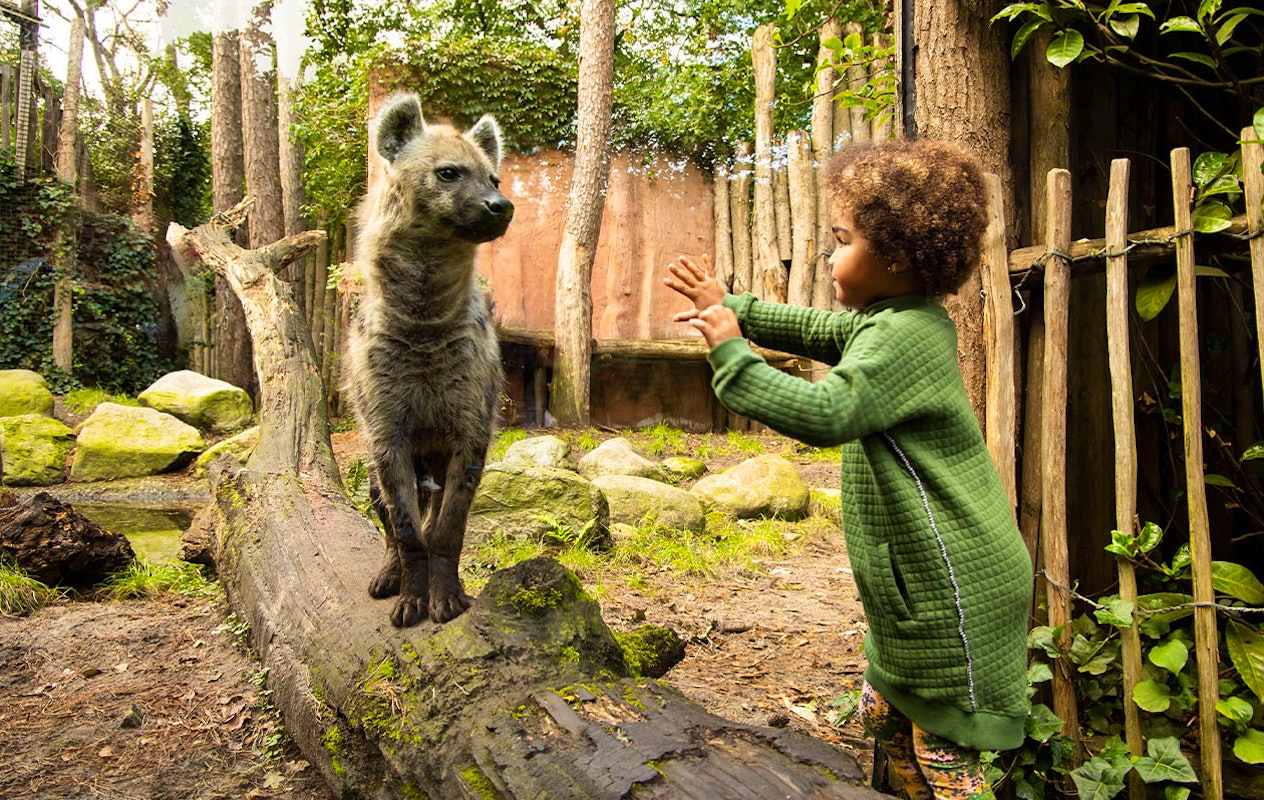 Ticket Dierenpark Amersfoort (2p.)