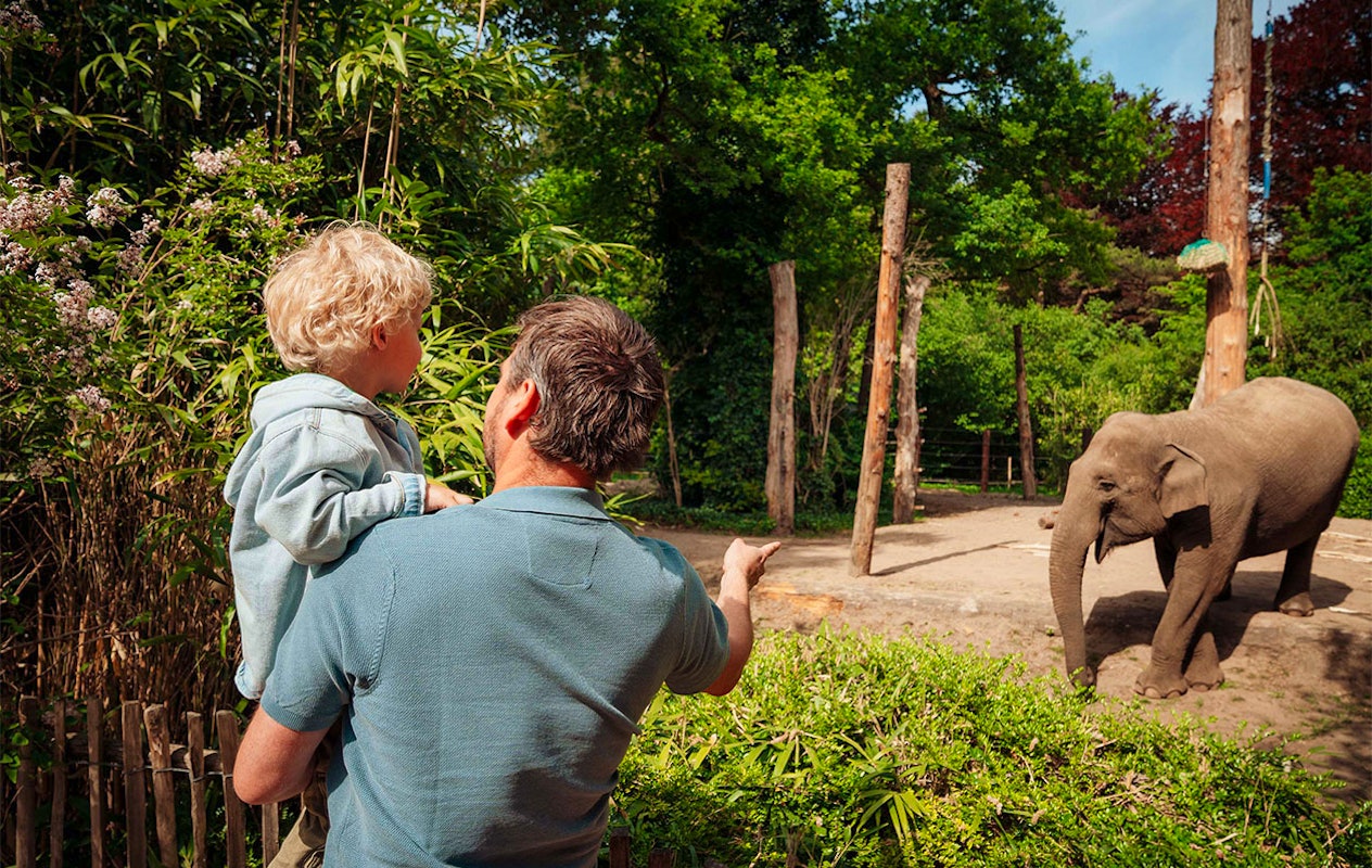 Billet Zoo d'Amersfoort (2p.)