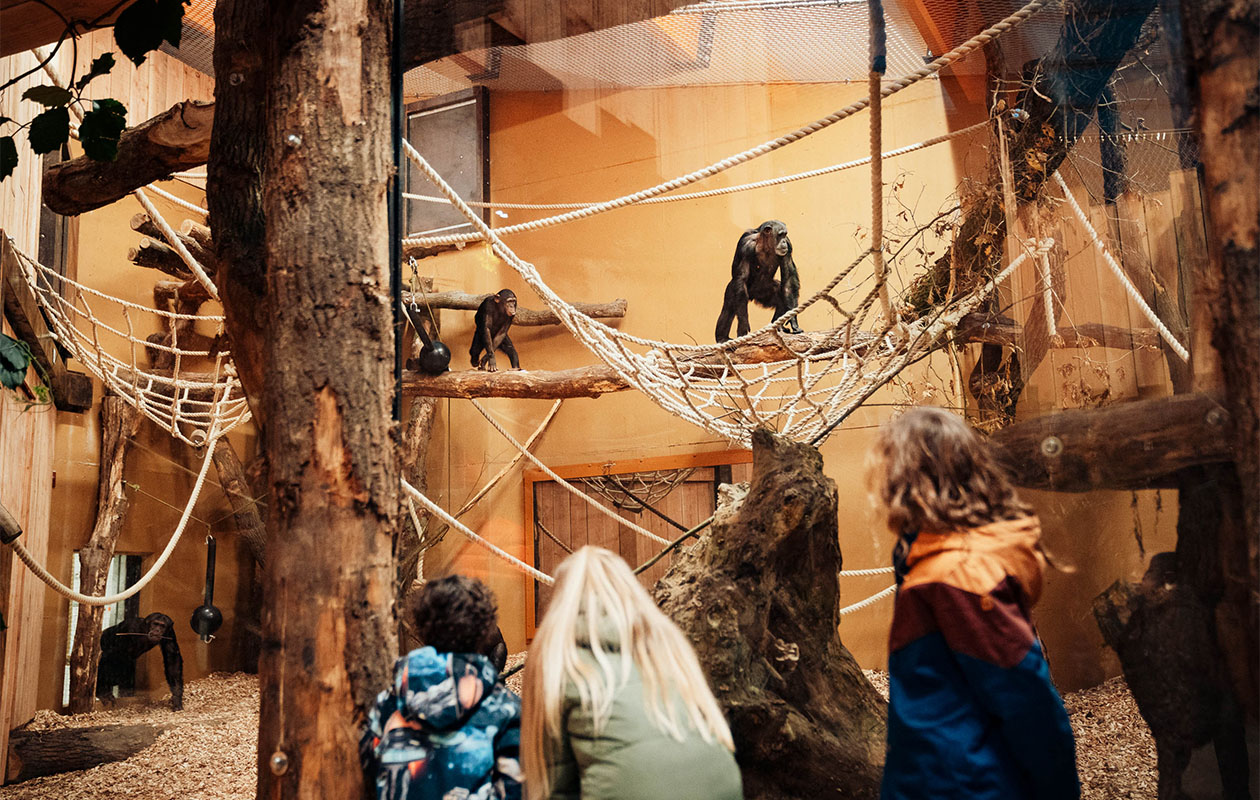 Ticket Dierenpark Amersfoort (2p.)