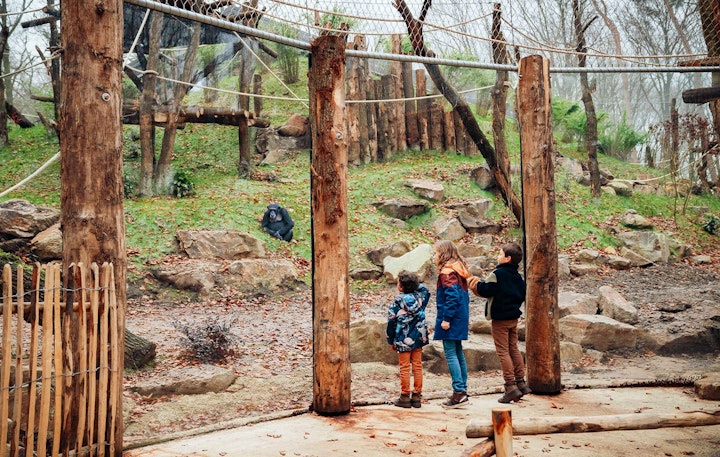 Ticket Dierenpark Amersfoort (2p.)