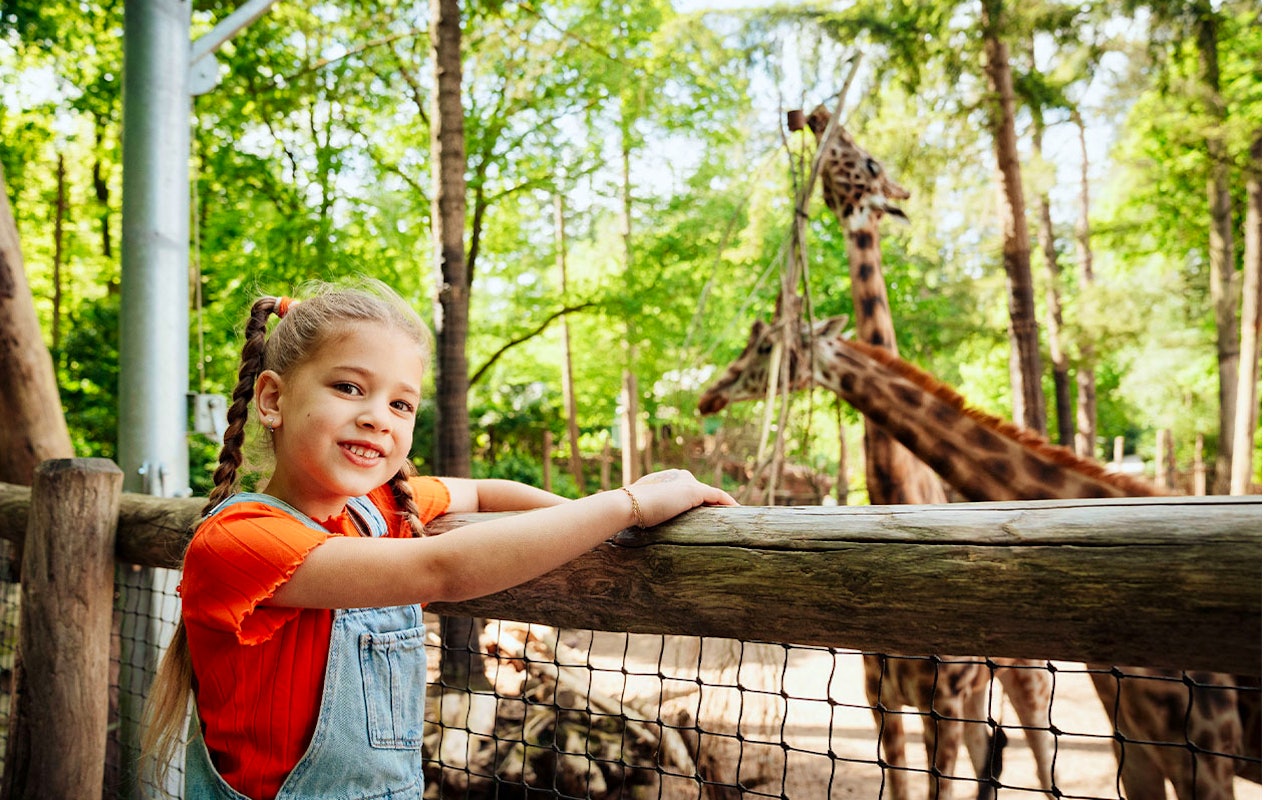 Billet Zoo d'Amersfoort (2p.)
