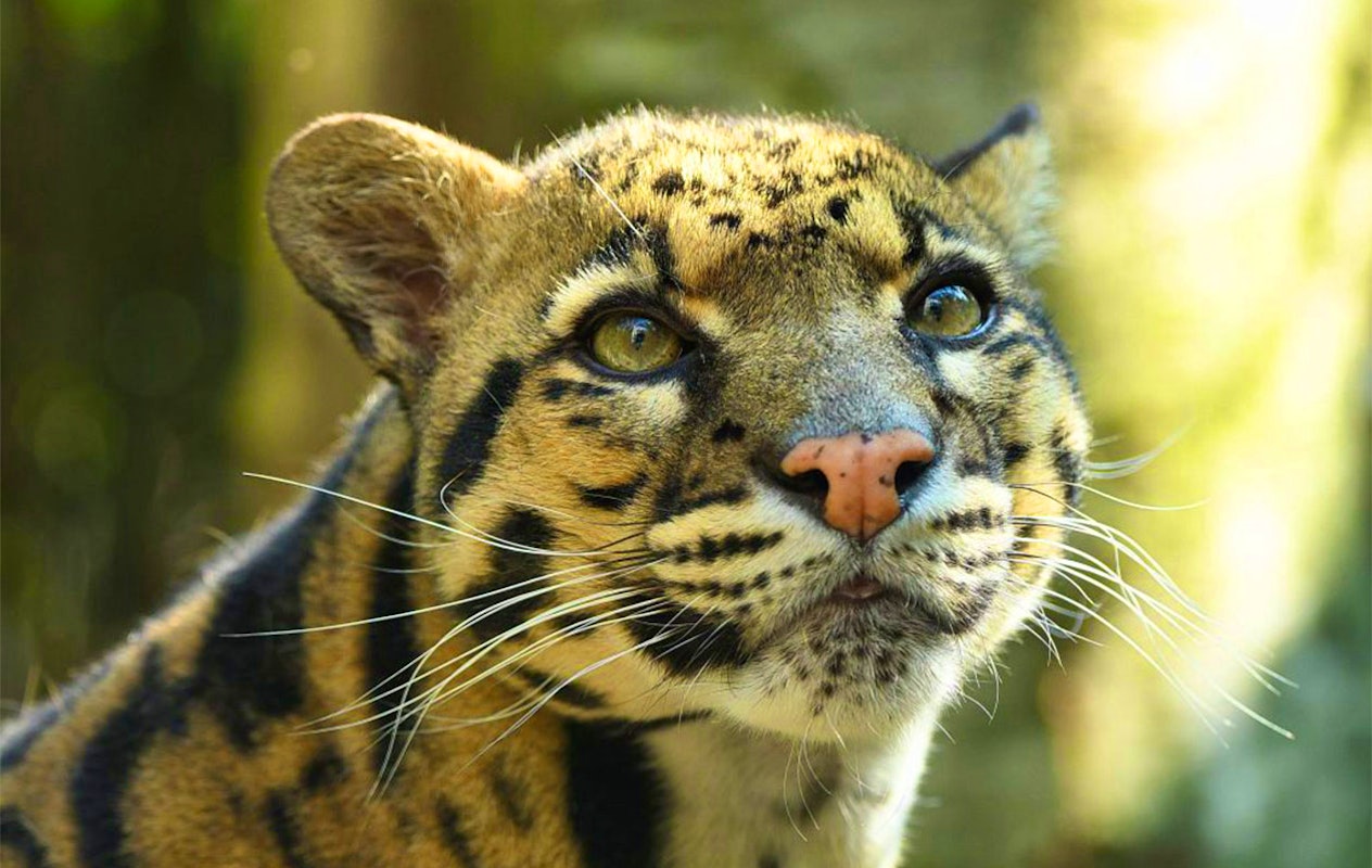 Ticket voor Dierenpark Zie-ZOO (2p.)