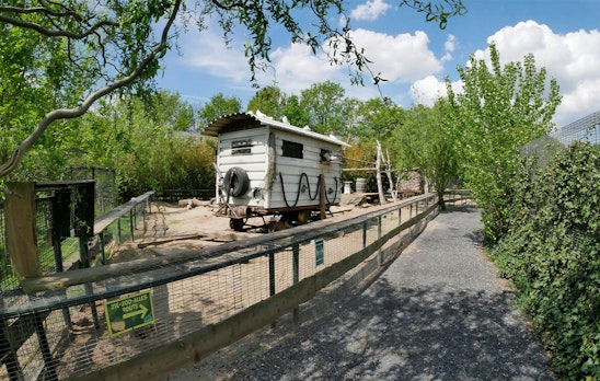 Ticket voor Dierenpark Zie-ZOO (2p.)