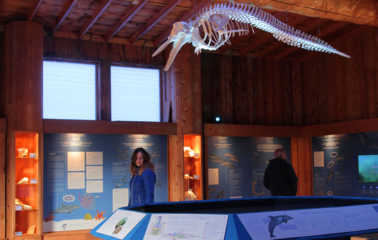 Ticket Dolfinarium (2p.)