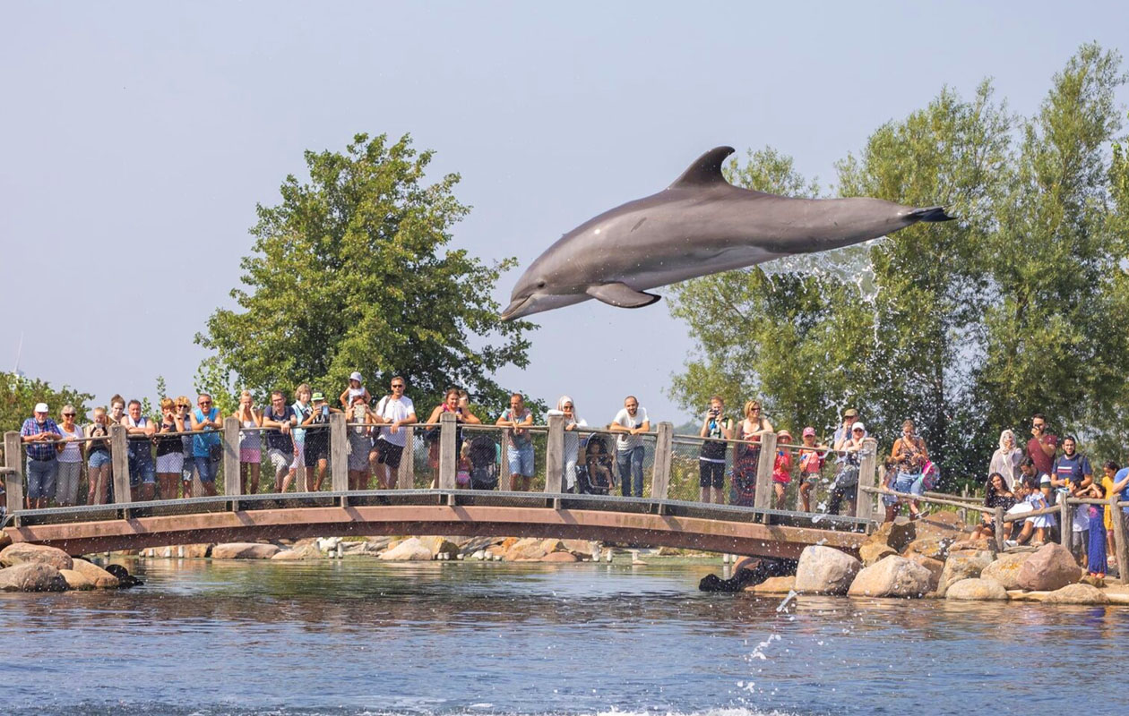 Ticket Dolfinarium (2p.)