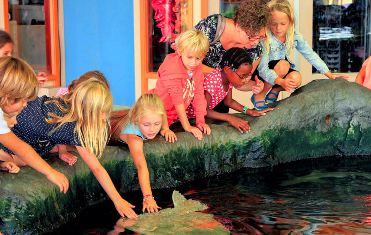 Ticket Dolfinarium (2p.)