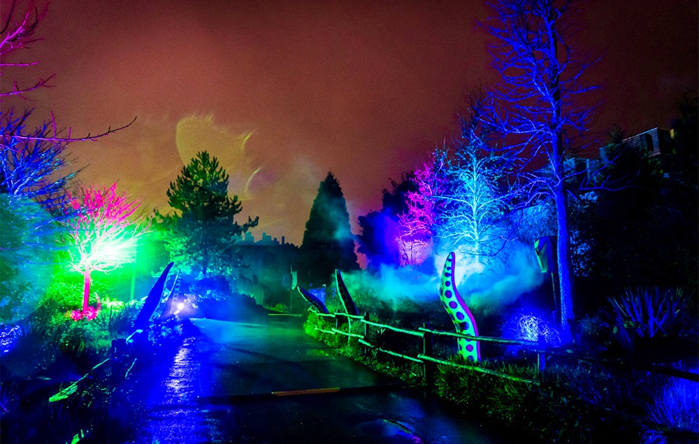 Ticket Dolfinarium - Lights of Nature (2p.)