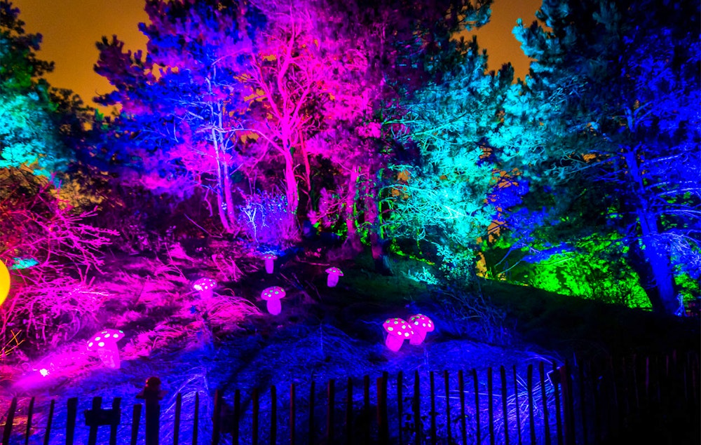 Ticket Dolfinarium - Lights of Nature (2p.)