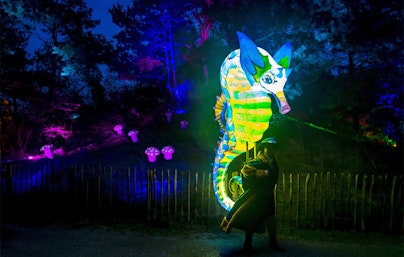 Ticket Dolfinarium - Lights of Nature (2p.)