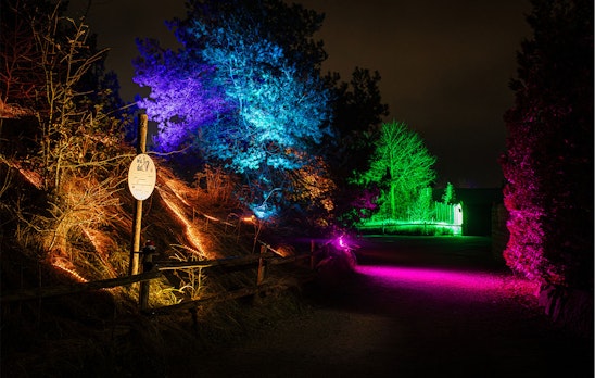 Ticket Dolfinarium - Lights of Nature (2p.)