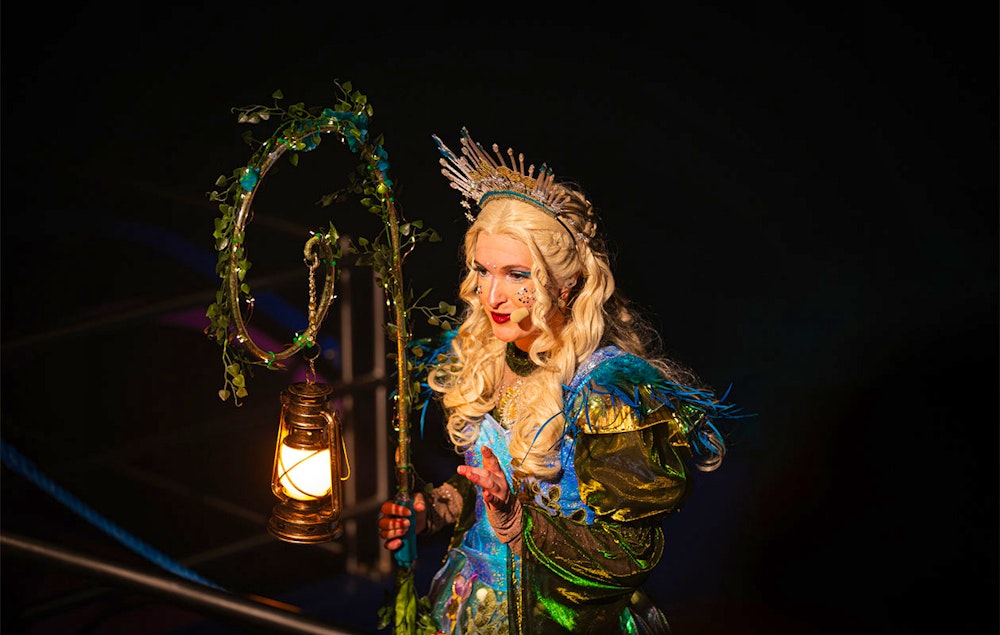 Ticket Dolfinarium - Lights of Nature (2p.)