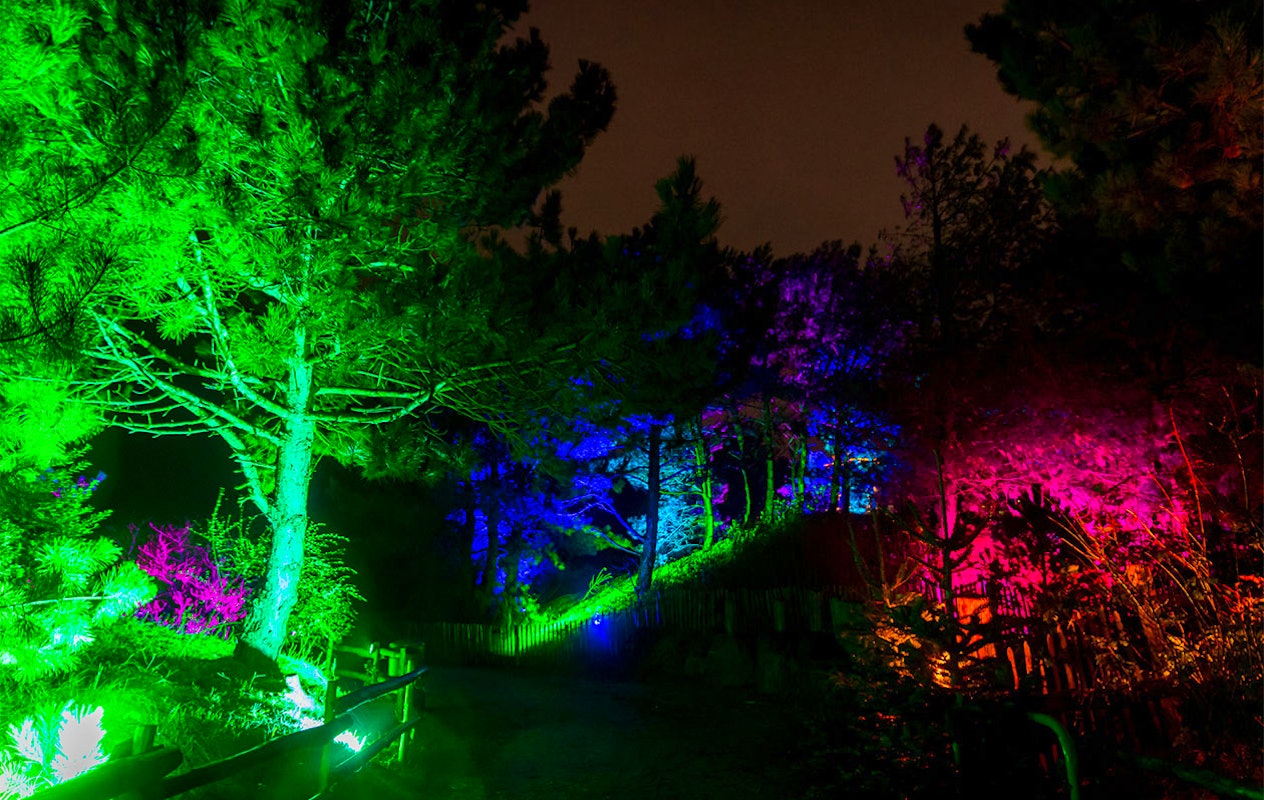 Ticket Dolfinarium - Lights of Nature (2p.)