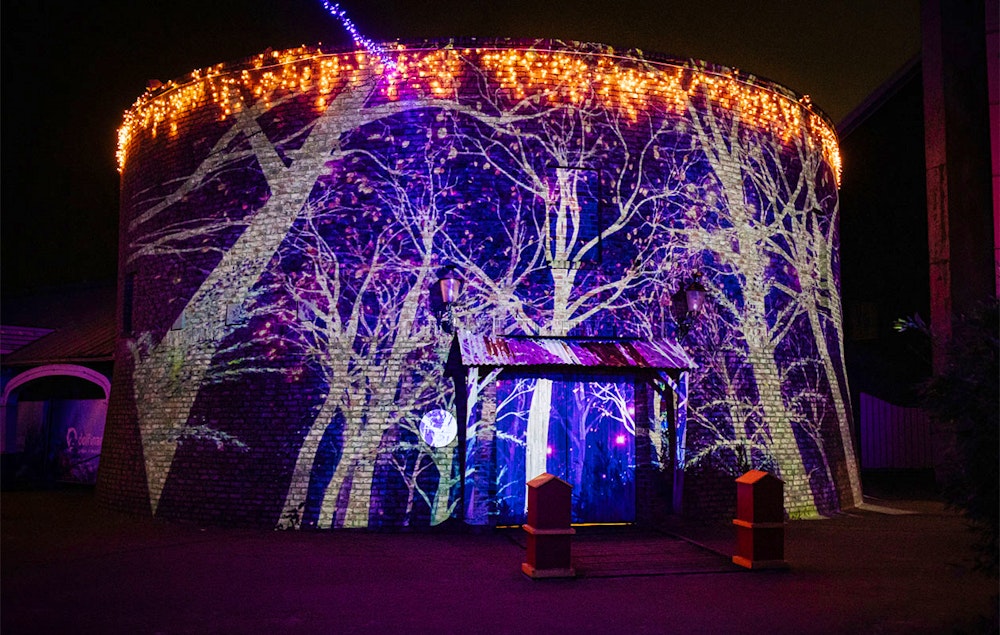 Ticket Dolfinarium - Lights of Nature (2p.)