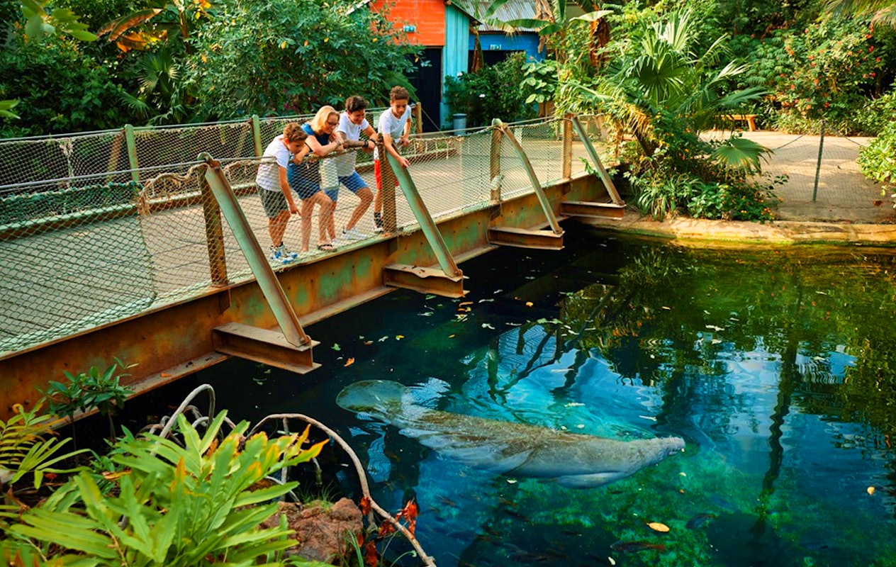 Ticket pour le Zoo Royal de Burgers (2p.)