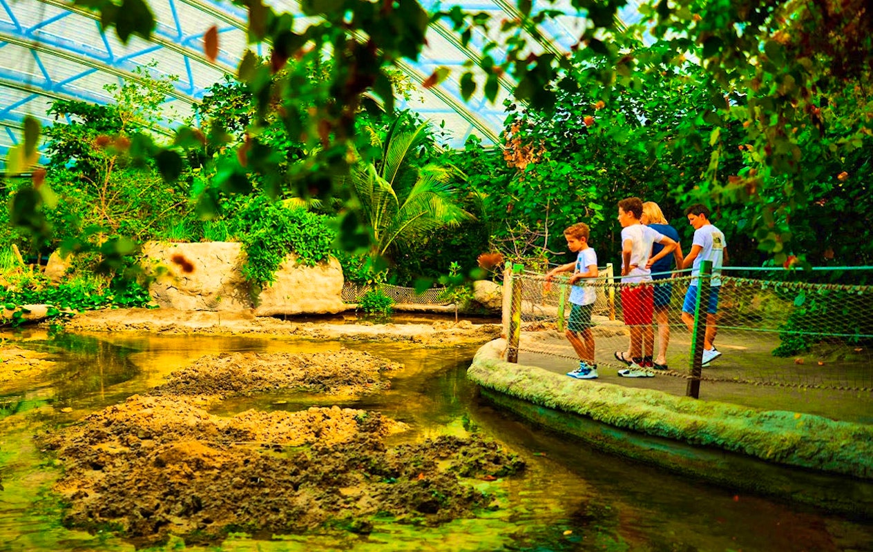Ticket pour le Zoo Royal de Burgers (2p.)