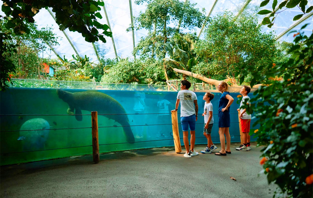 Ticket pour le Zoo Royal de Burgers (2p.)