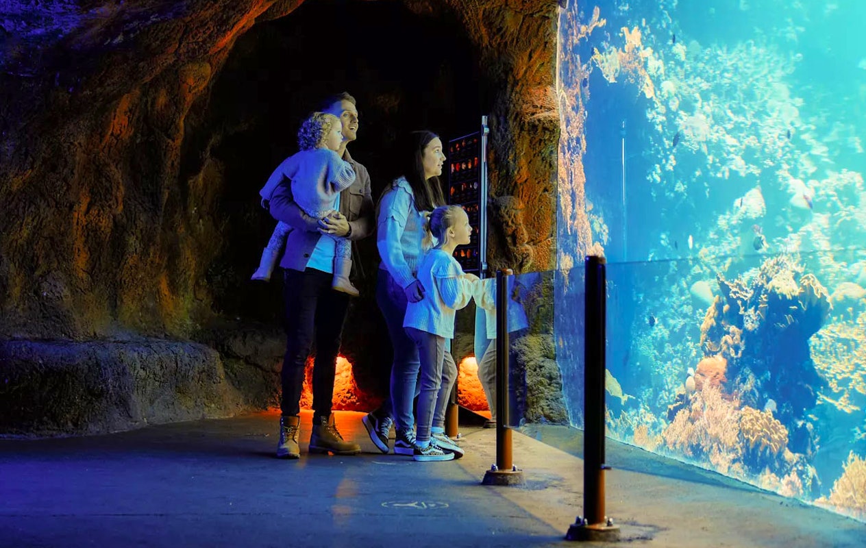 Ticket pour le Zoo Royal de Burgers (2p.)