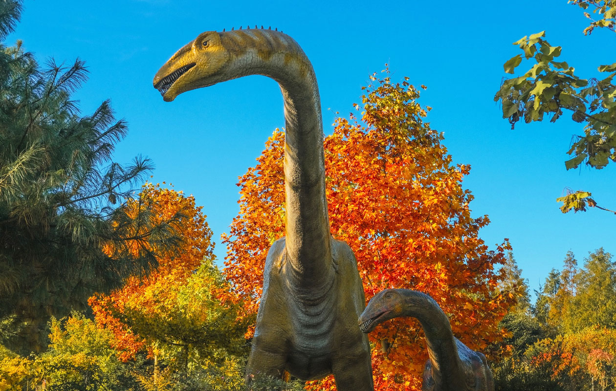 Ticket Landgoed Tenaxx (2p.)