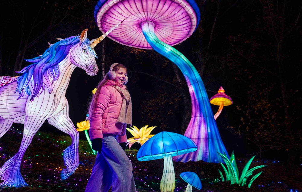 Ticket Light Safari Beekse Bergen (2p.)